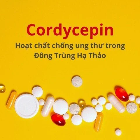 co trong dong trung ha thao 1 34d5db1faaa344e8be80cab0032c9d5e large 4c76fb6a6aac4933b86bb5e8ff6dafd3 grande